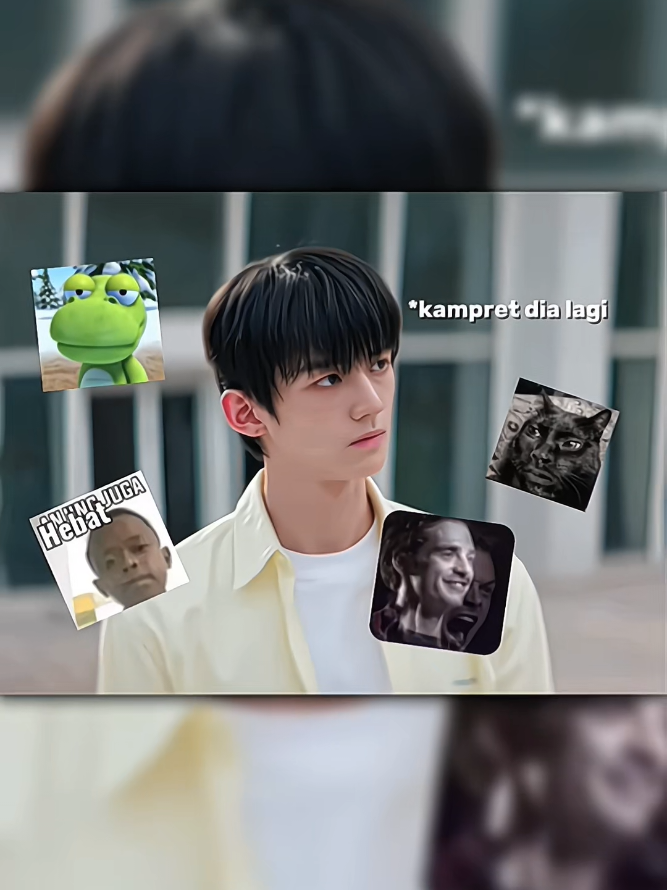 @࣪ 𝇋♡︎𝇌 ׂ fairy ⭒ 桑植 ݇-݈
