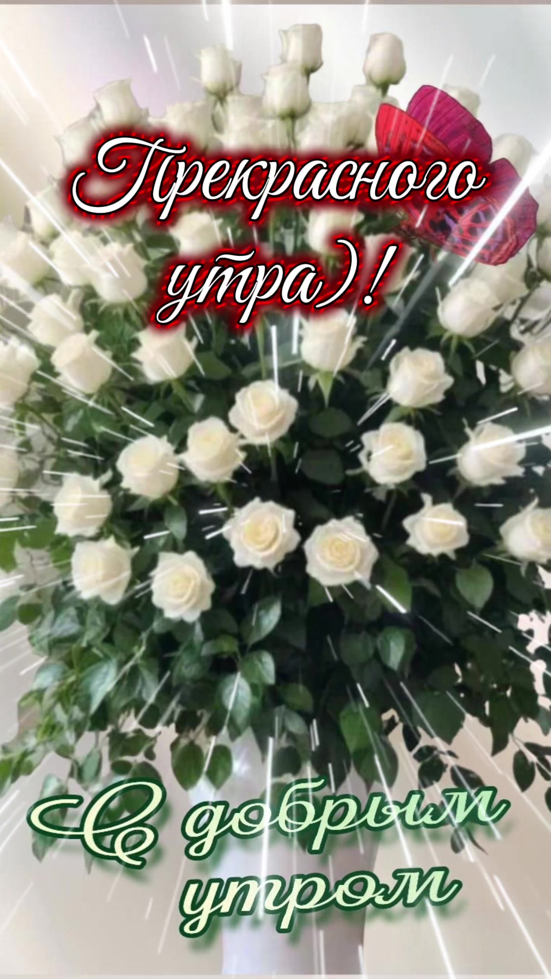 @zulfimysaivna