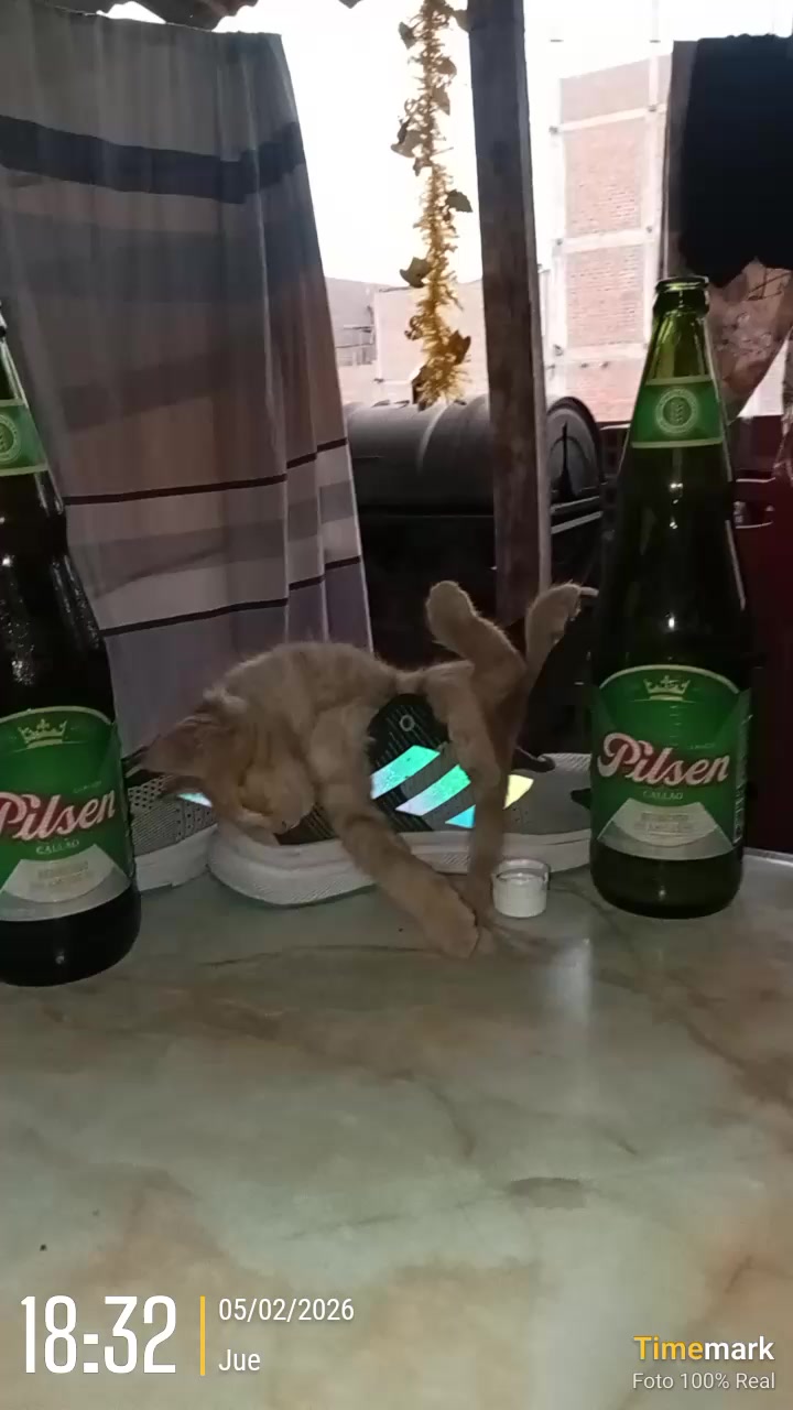 @carlosflores049