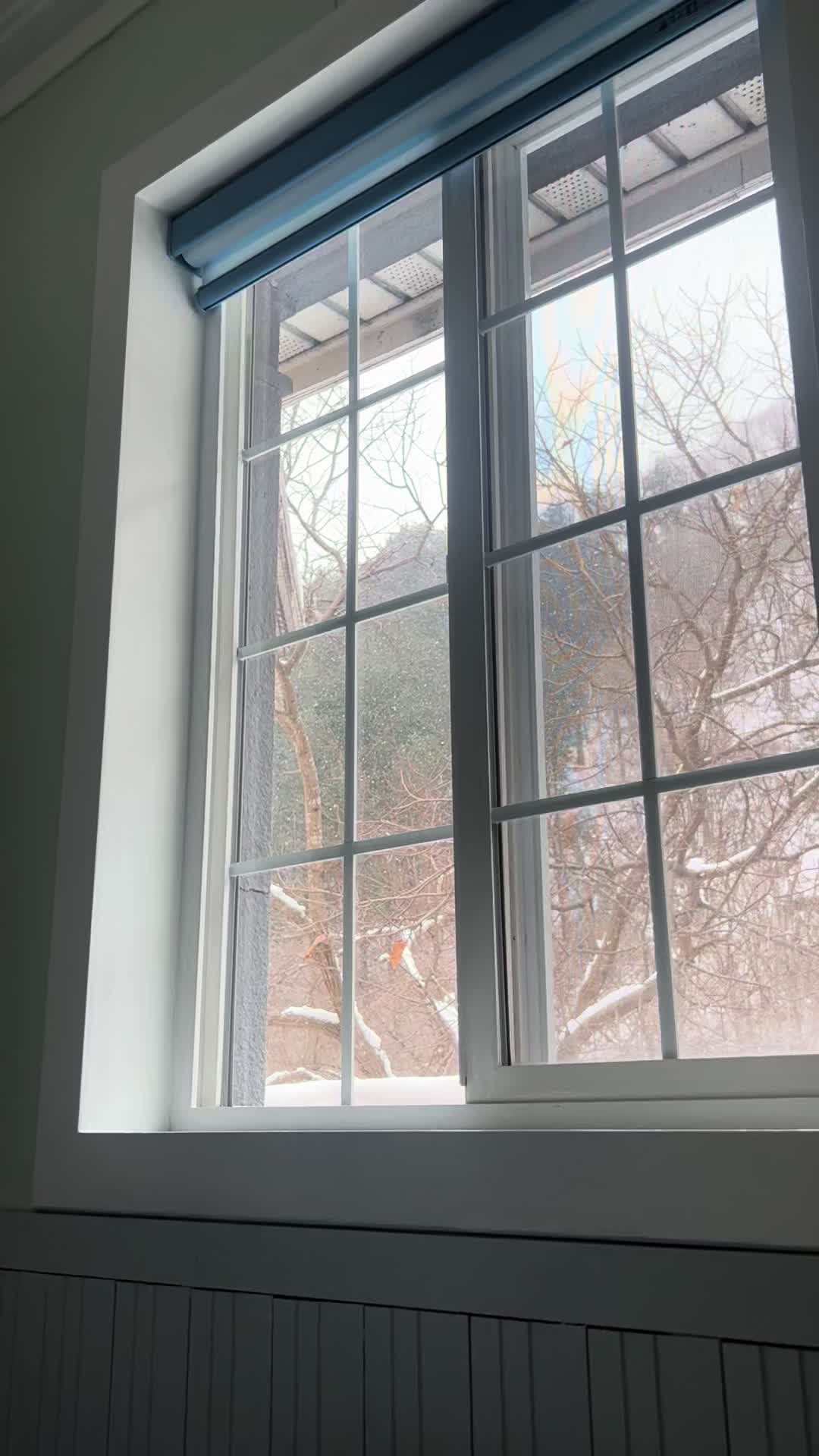 @메추리알