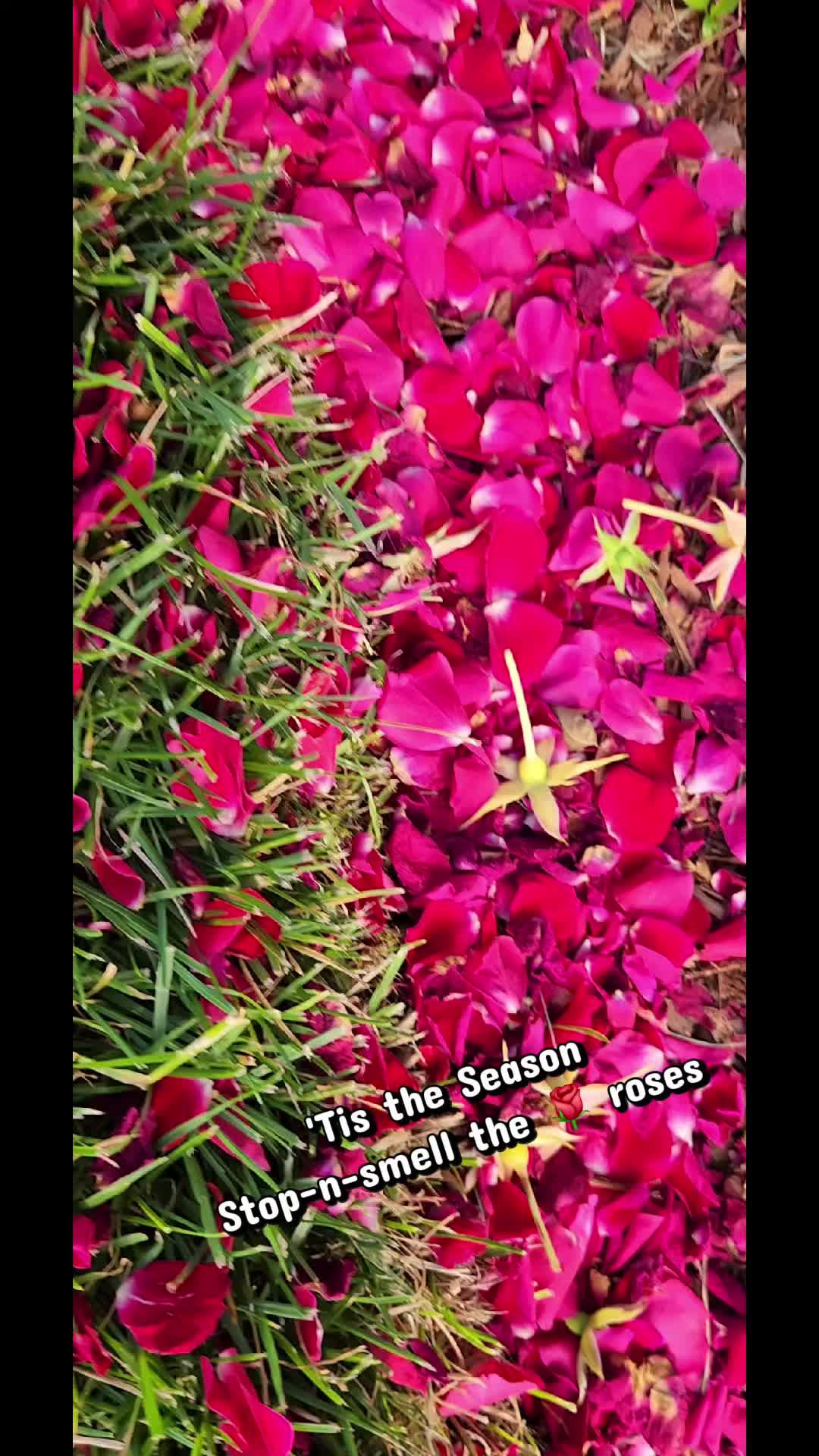 @MagsJ