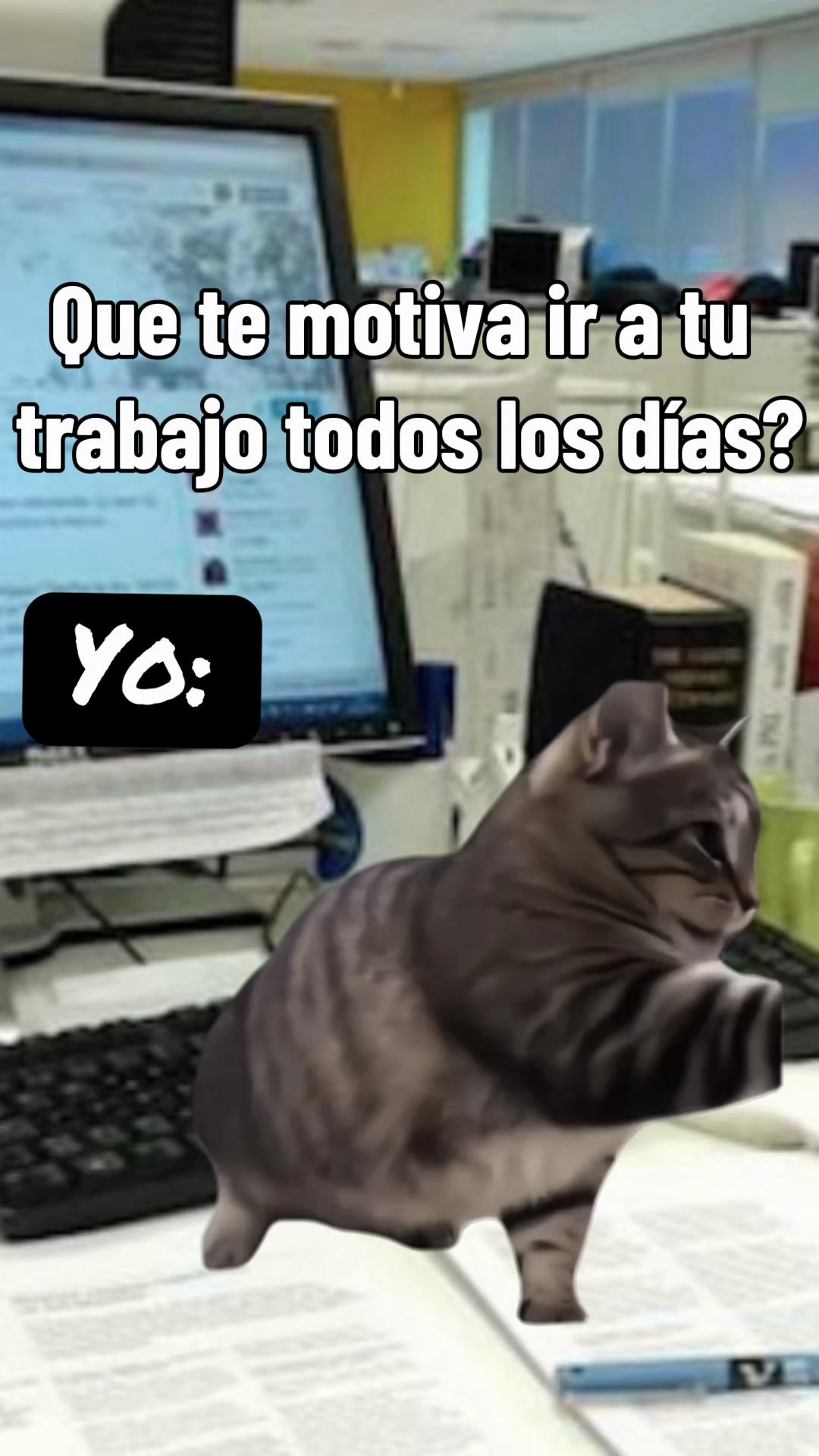 @Annabel Cancino