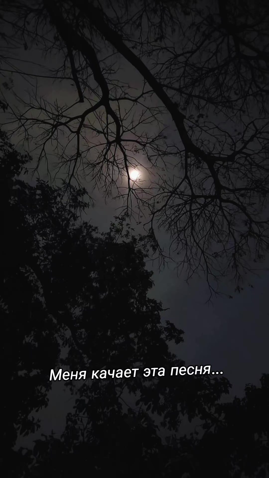 @Елена Фомина