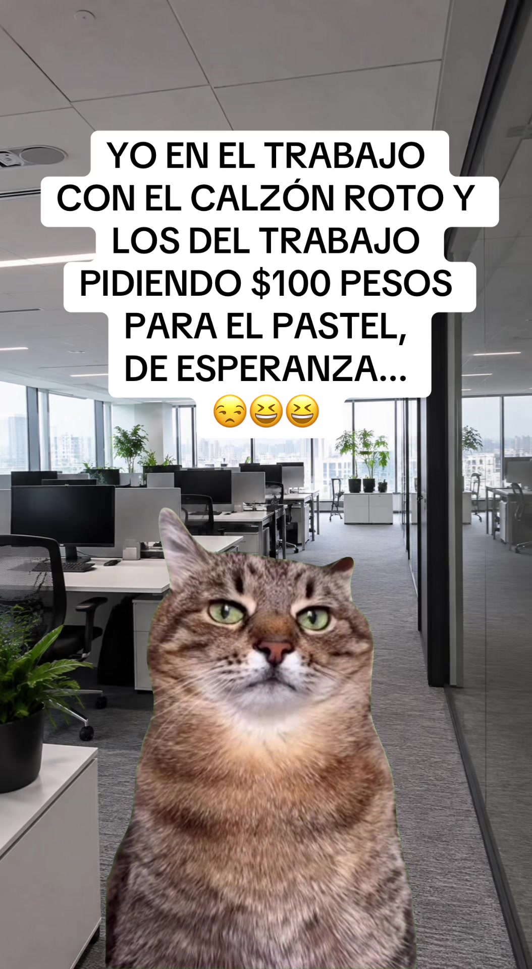 @Memesfactory