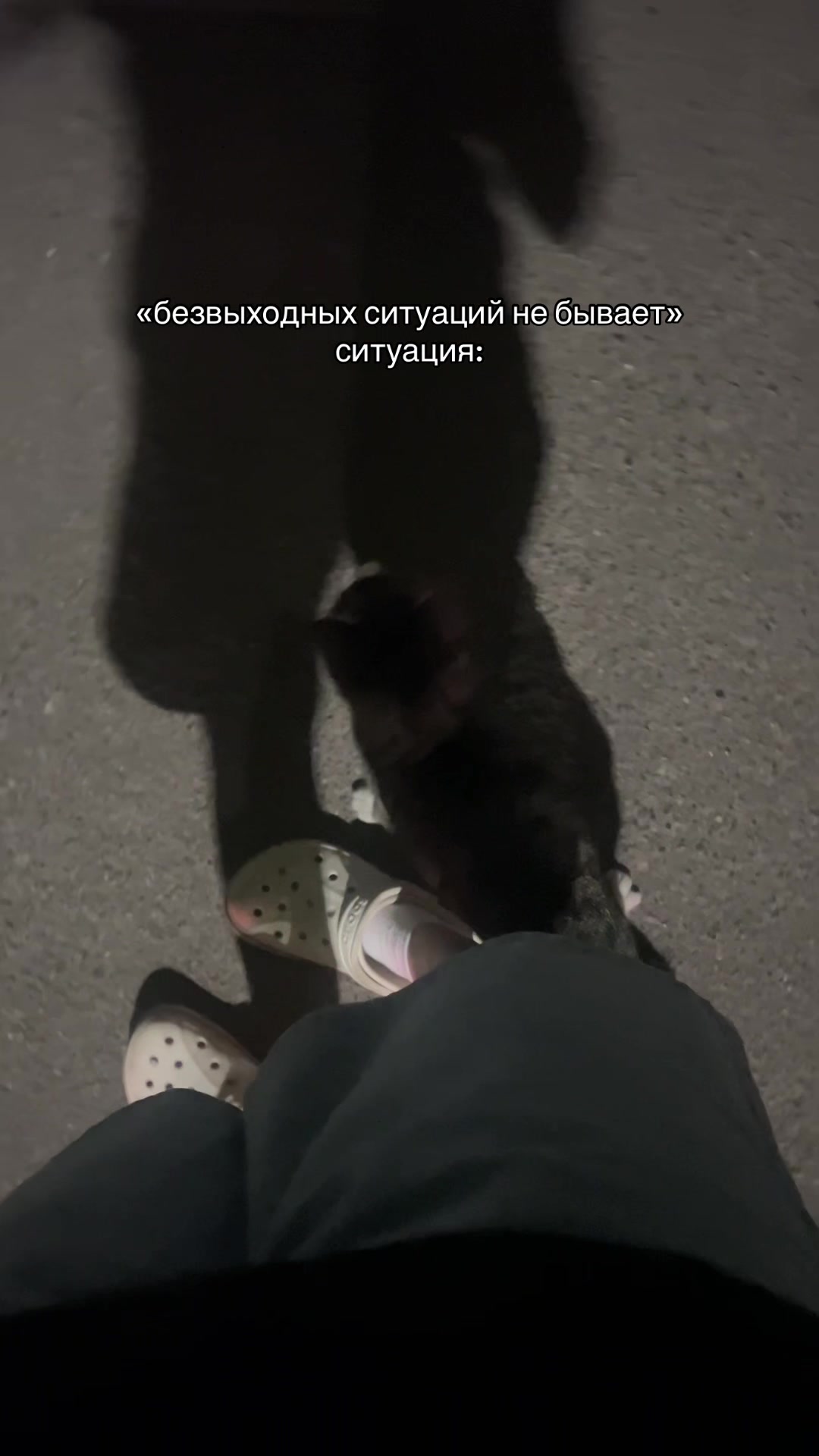 @тгк: китсис