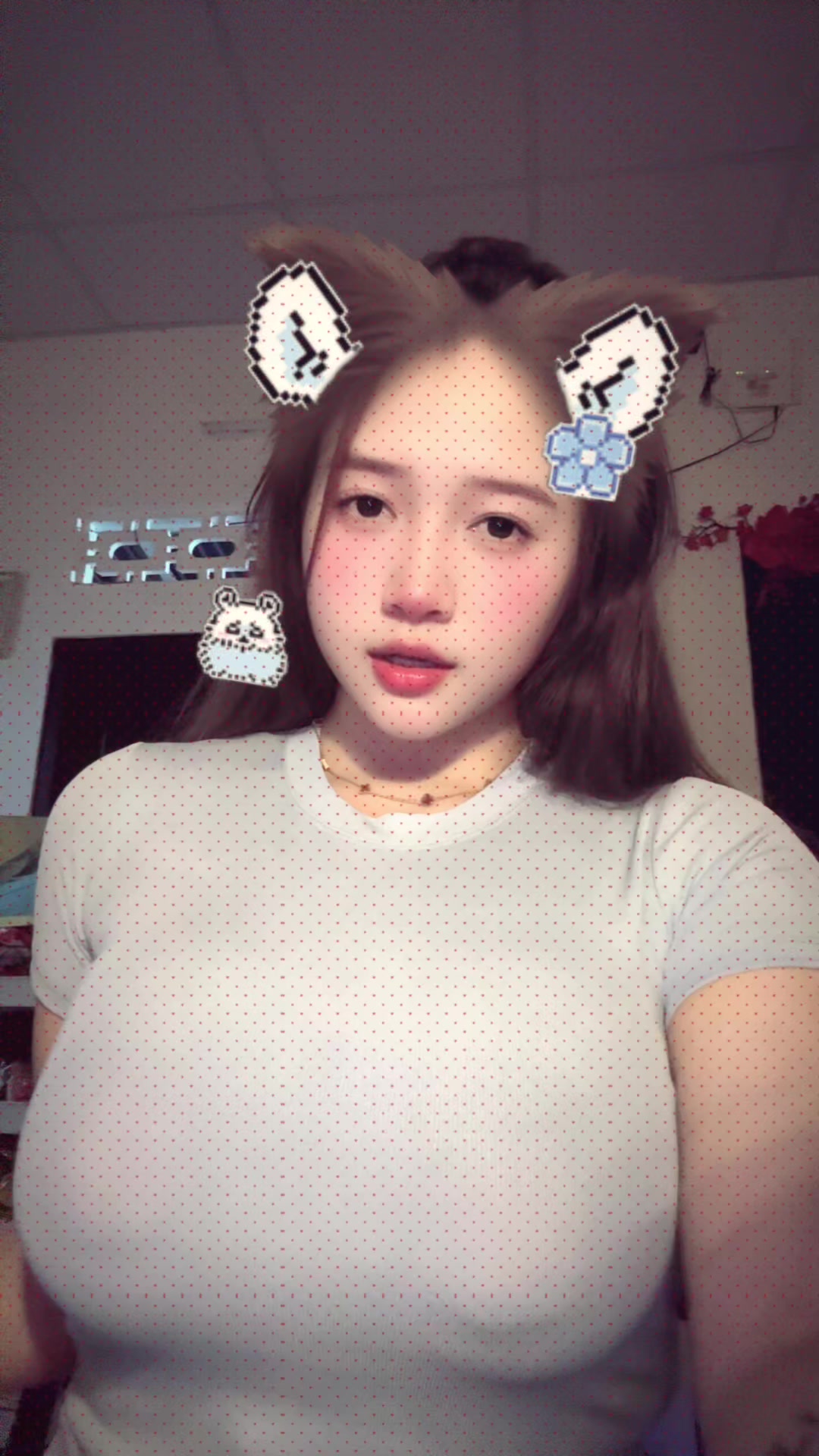 @Ng Việt z&uacute; T&acirc;y