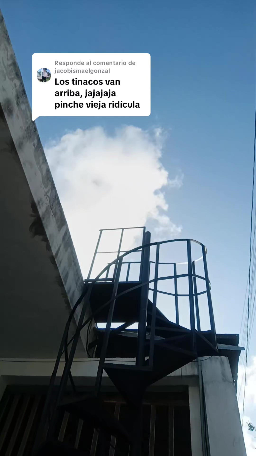 @Laura Panda
