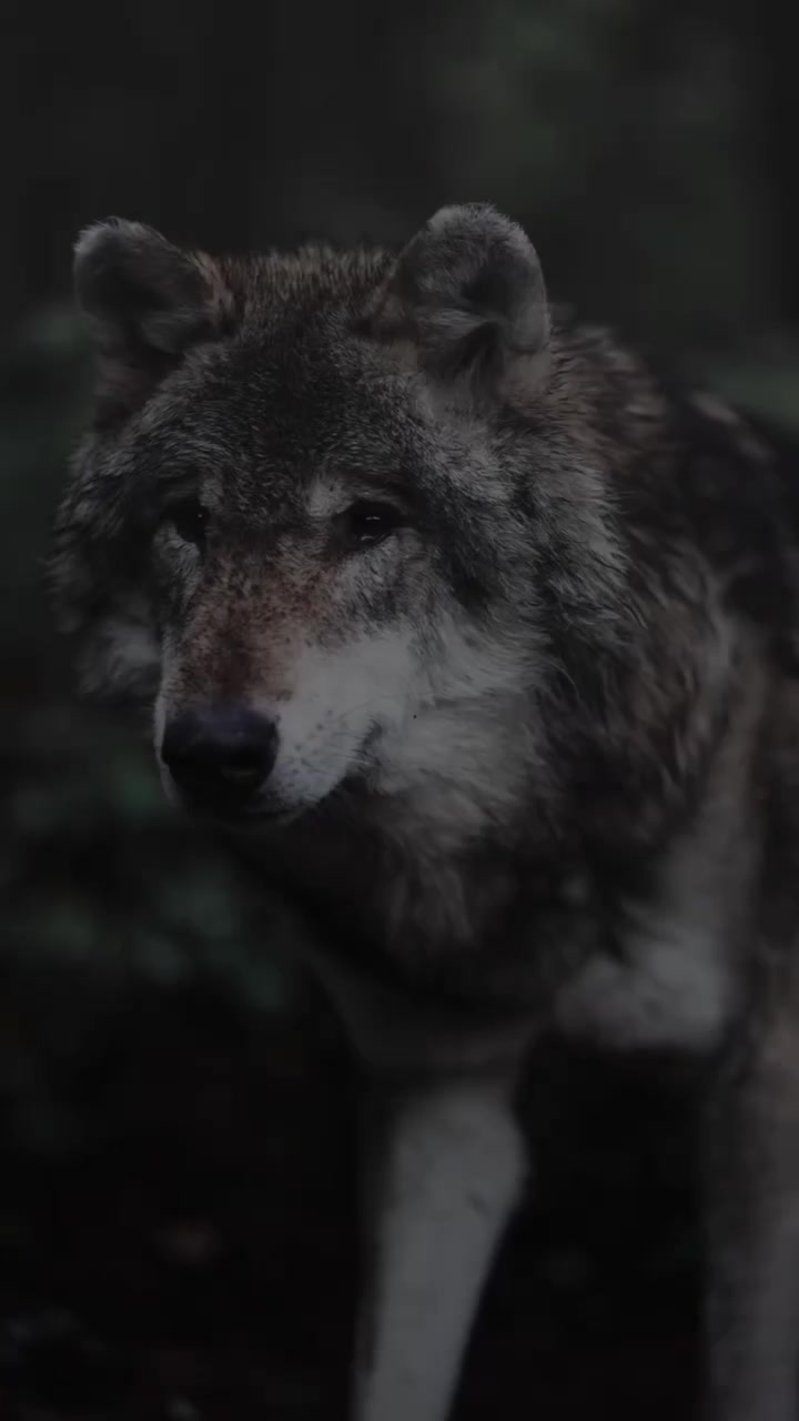@HAYDAR &Ouml;ZEL