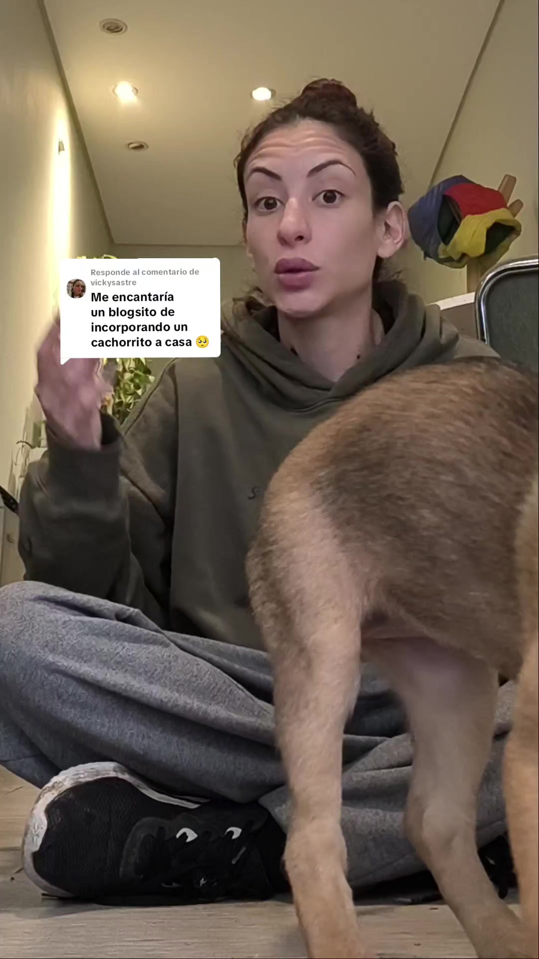 @ragnarito