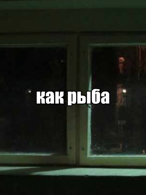 @tenbeery