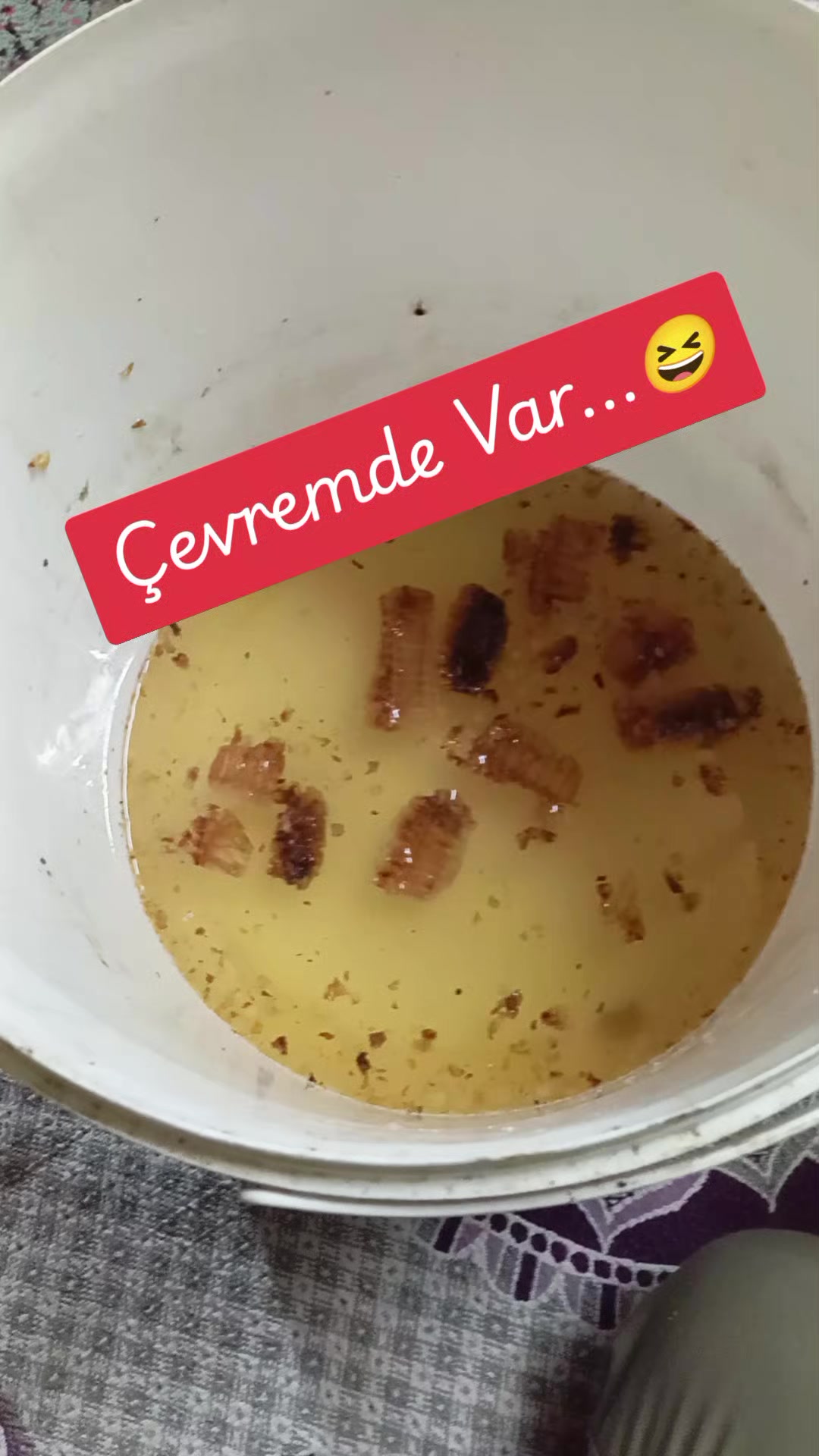 @🐝ÖZ BEYDİLLİ - ARICILIK🍯