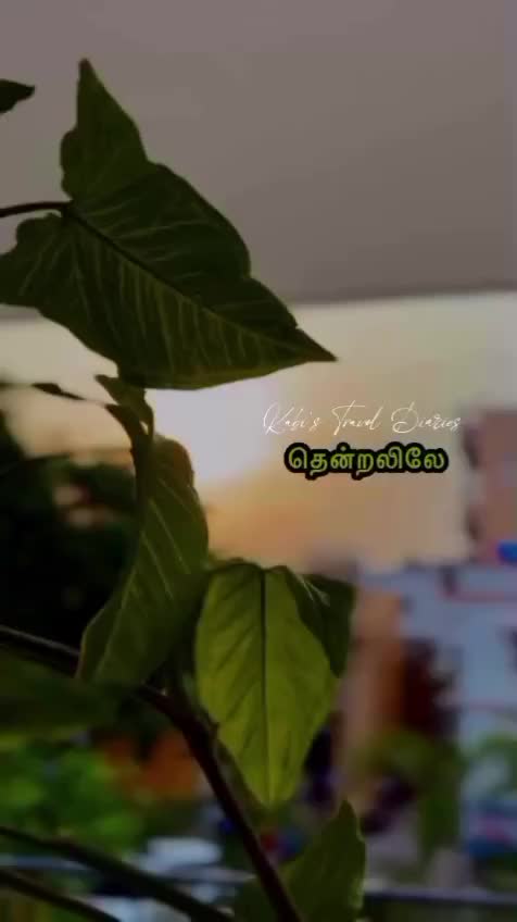 @💞Yamunadevi Jayabalan💞