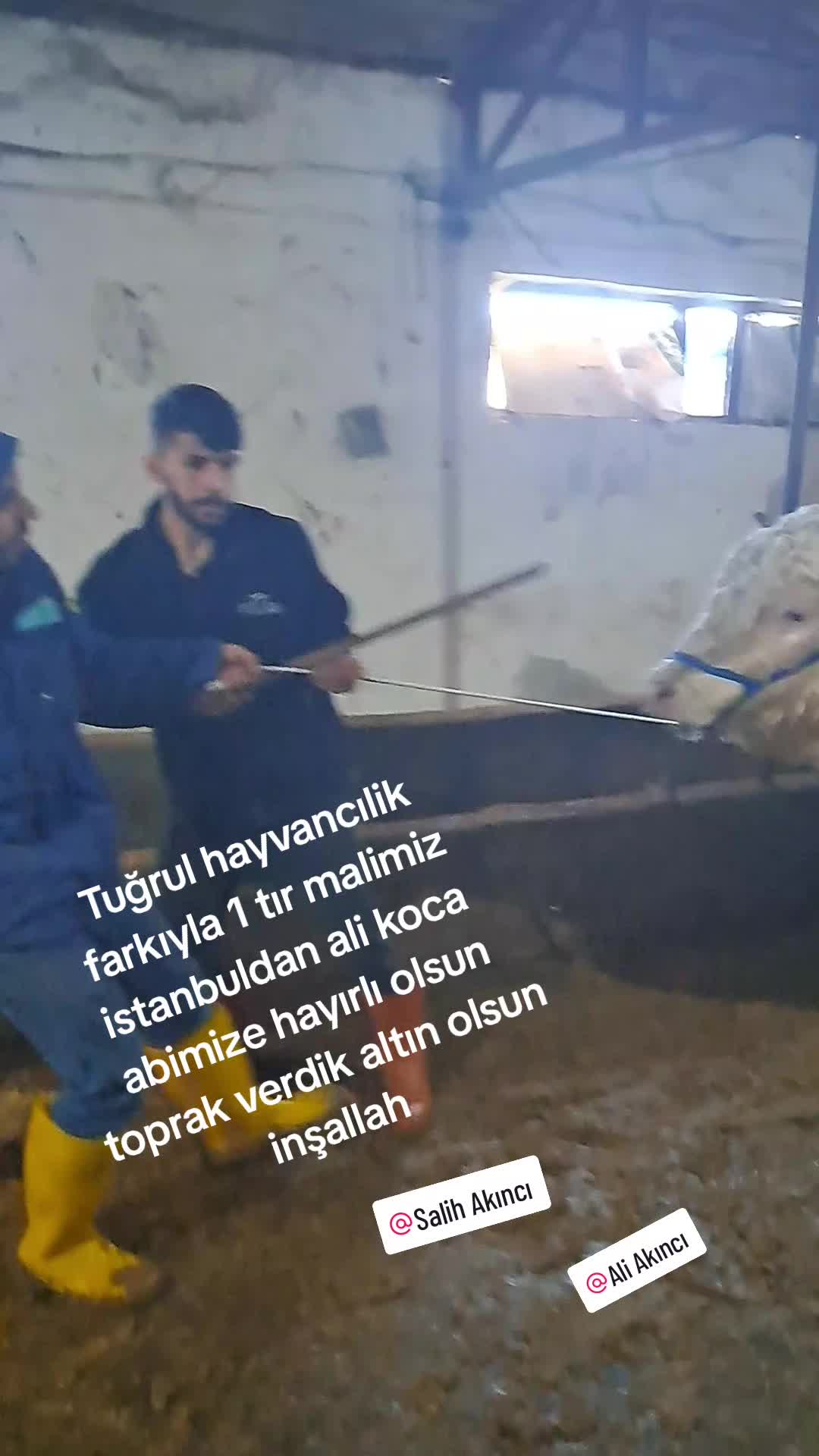 @Mehmet Yalçın Tuğrul