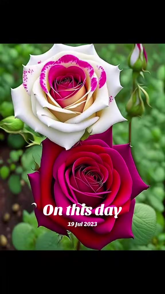 @Moni Chowdhury
