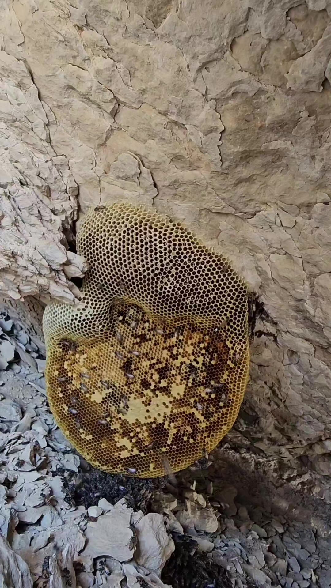 @⚔️ابوجهاد⚔️
