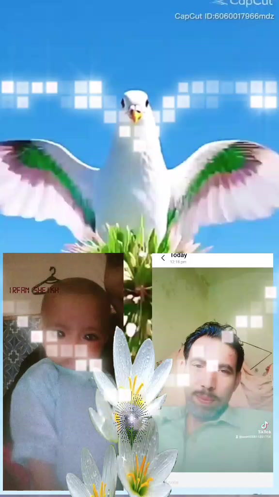 @Irfan