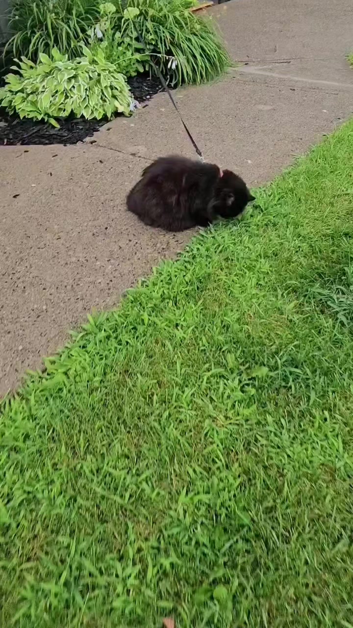 @Christine Brassard
