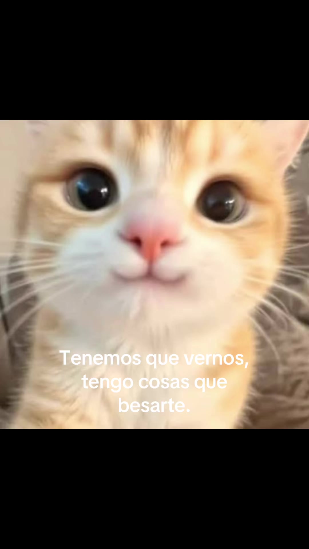 @saulburgosp2.0