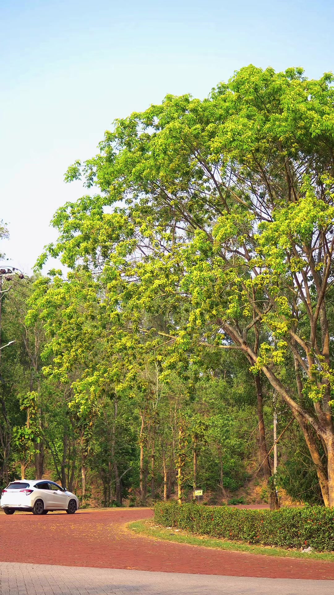 @Ahmed_samit | Chittagong