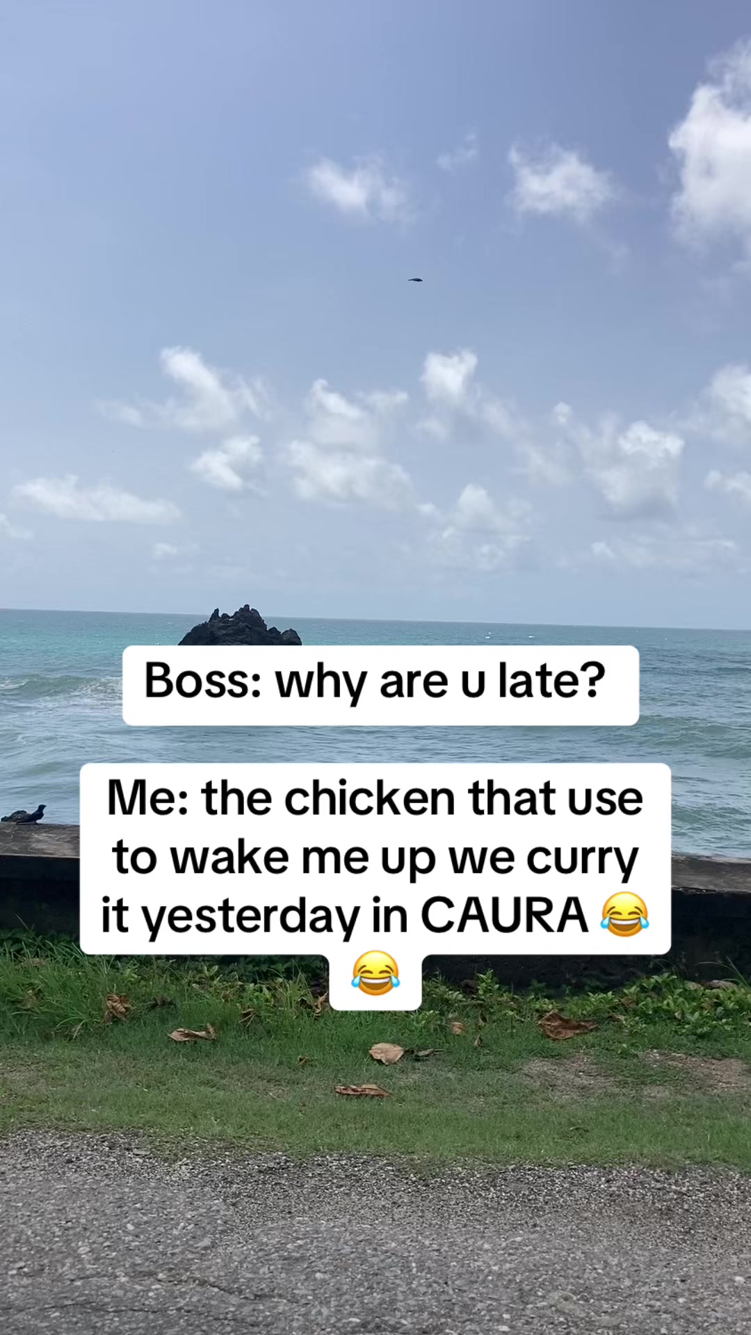 @BossMan🩵💯