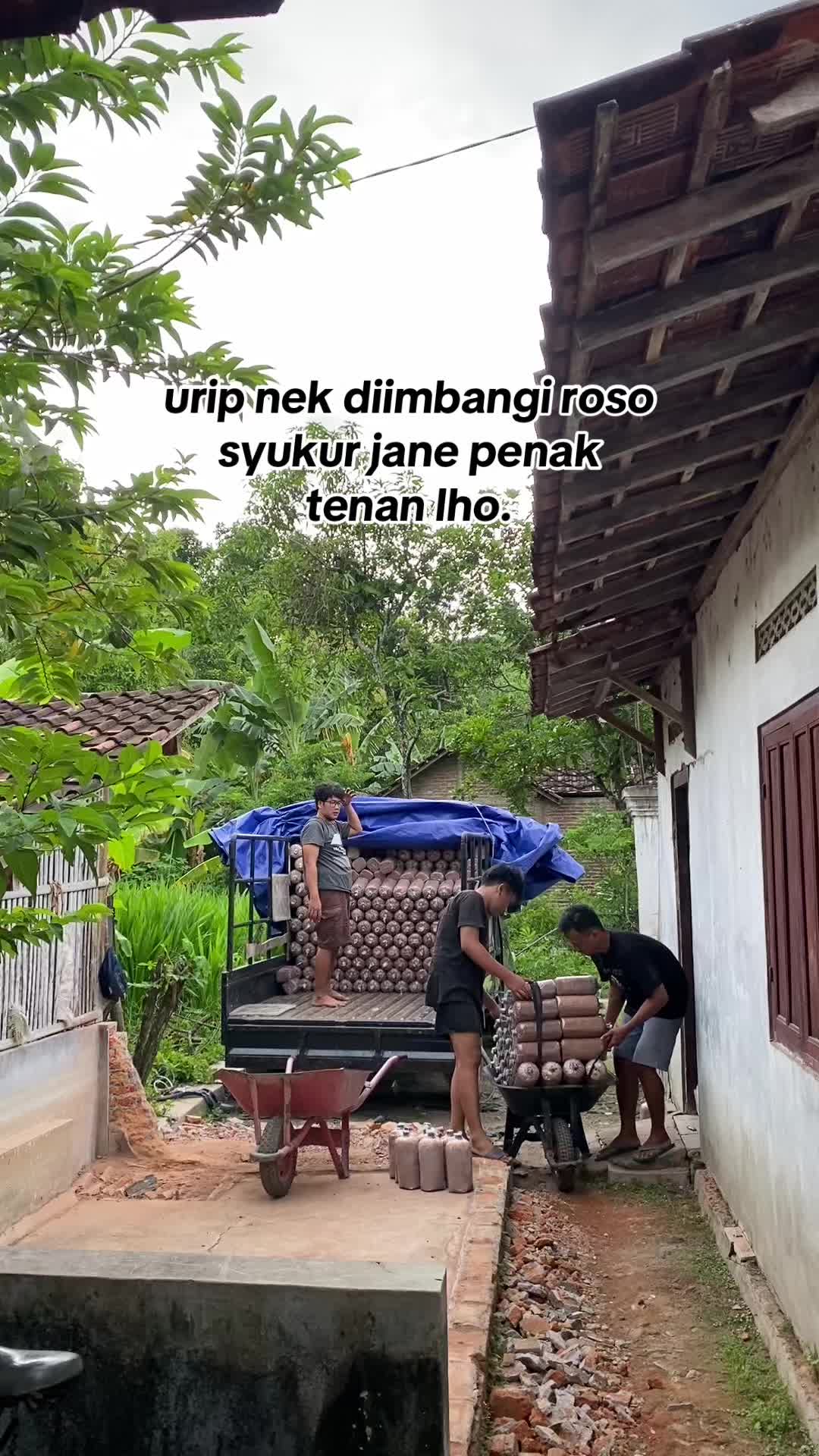 @zal