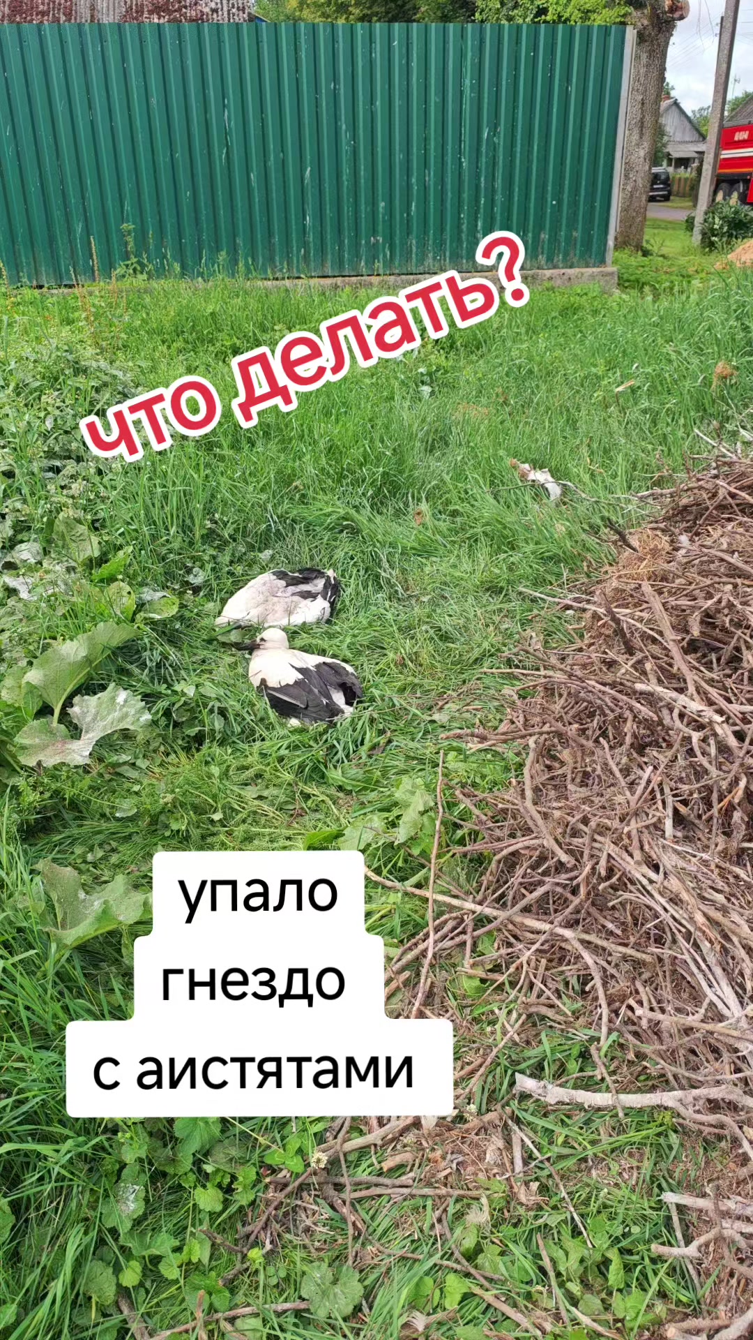 @Картофель Могилёв