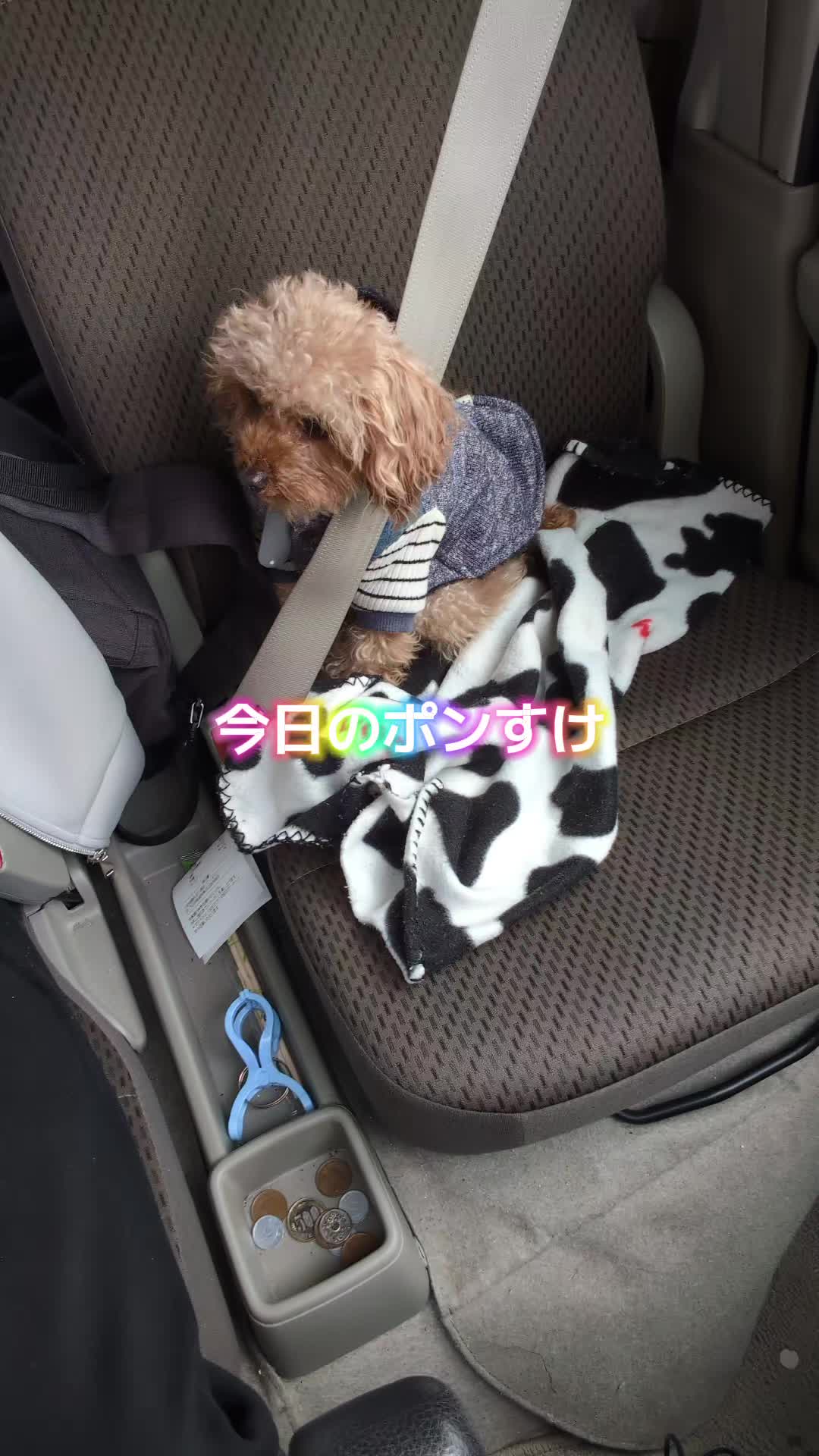 @よしポン弾丸ランナー