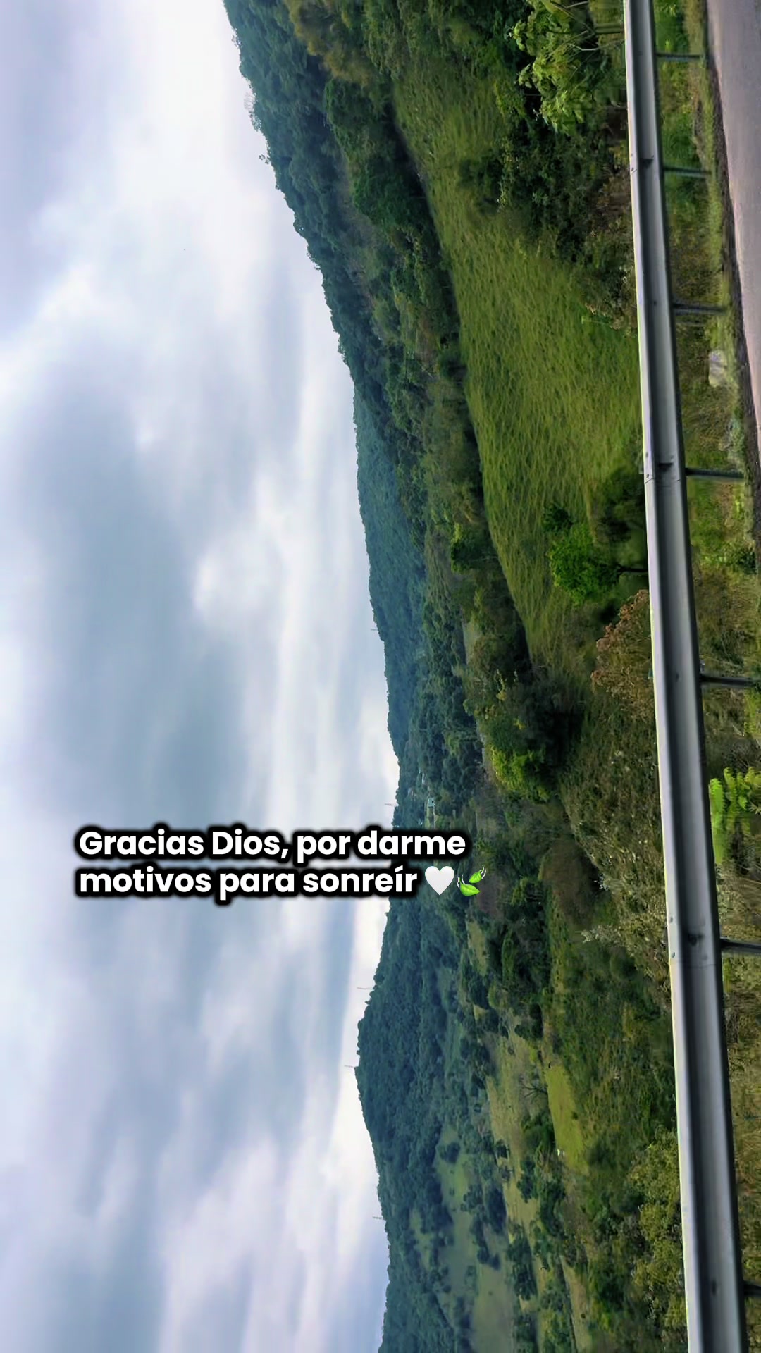 @Dulce Dmrs