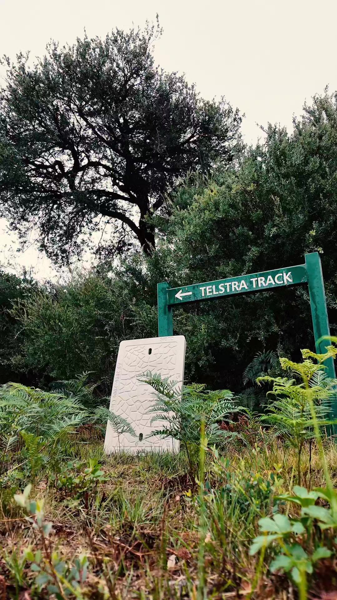 @Telstra