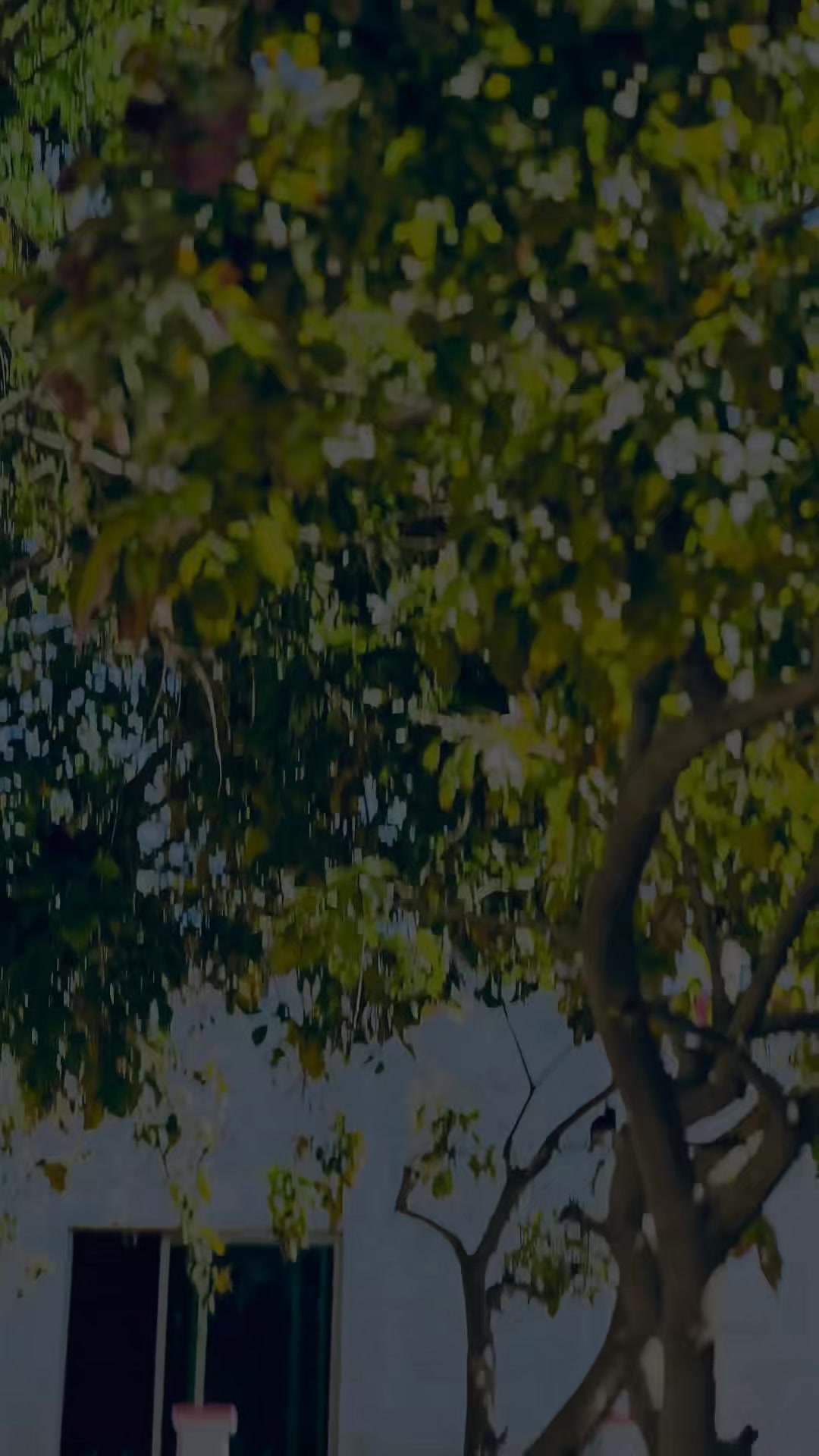 @مجرم۱۱۱(𖤍)