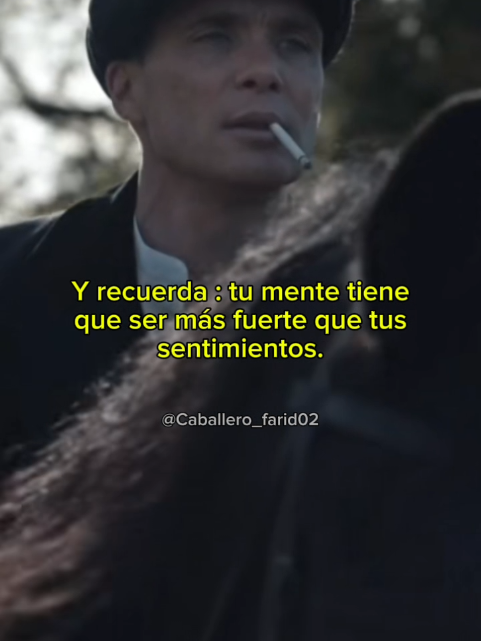 @🎭🔥𝑺𝑳 𝑭𝑨𝑹𝑰𝑫🔥🎭