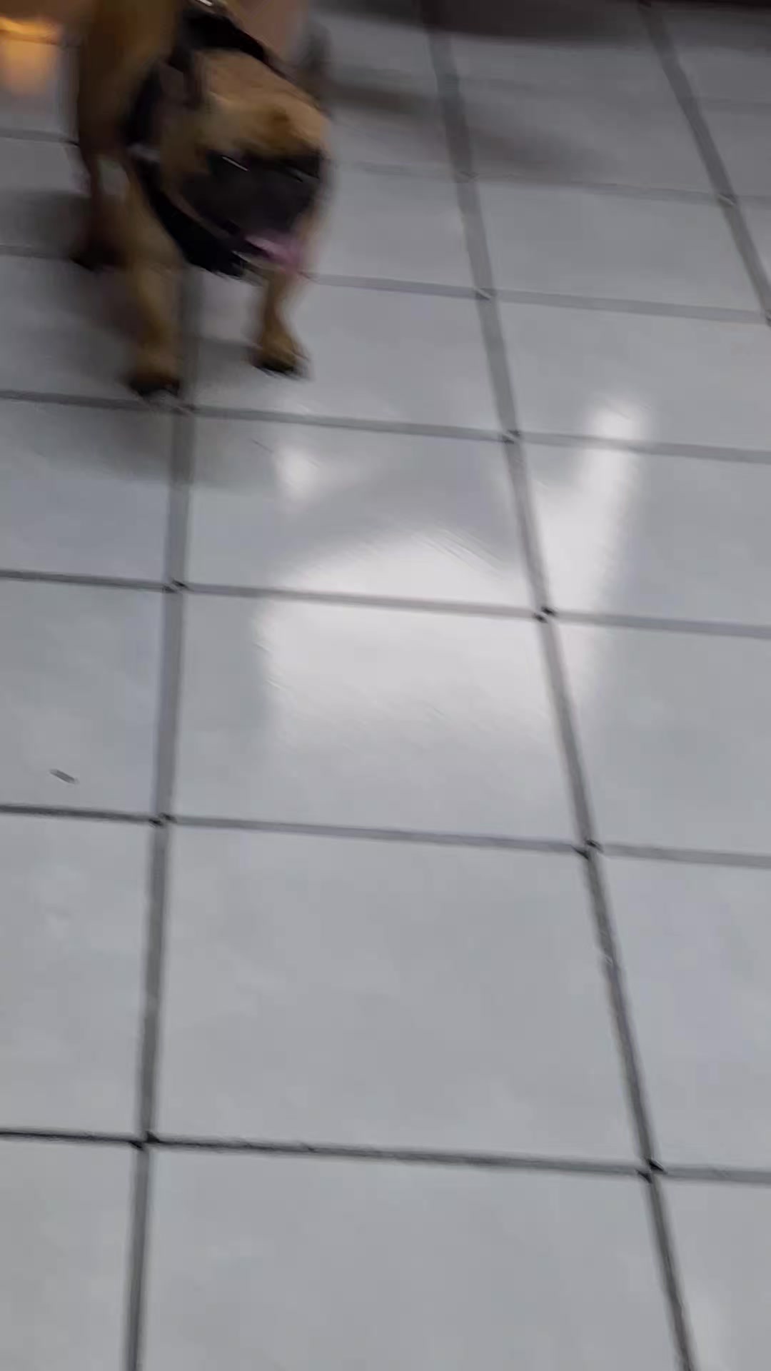 @Natalia Villalobos H