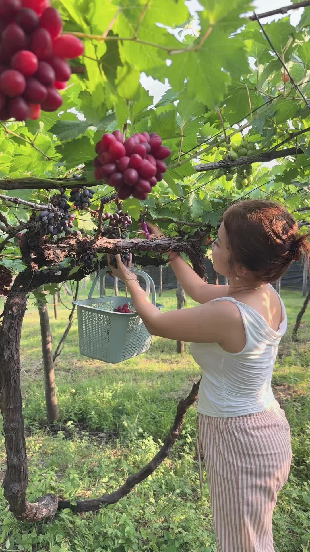 @kadekkokom