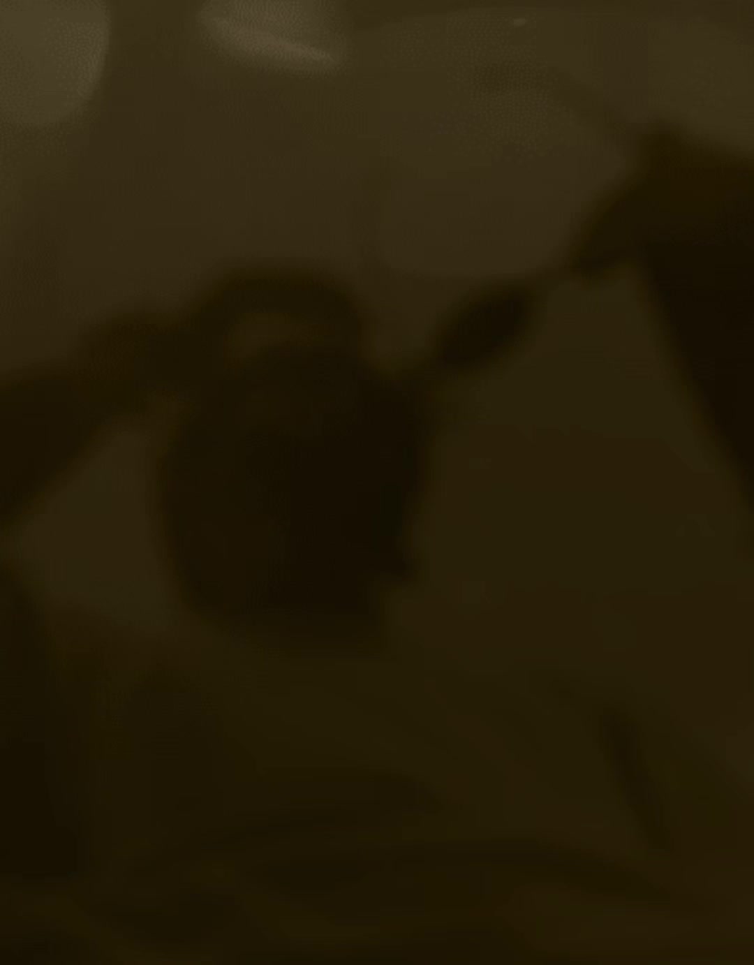 @𝑫𝑹. 𝑺𝑨𝑱𝑰𝑫