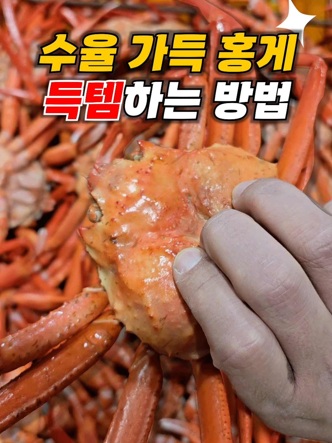 @싱싱헌터스