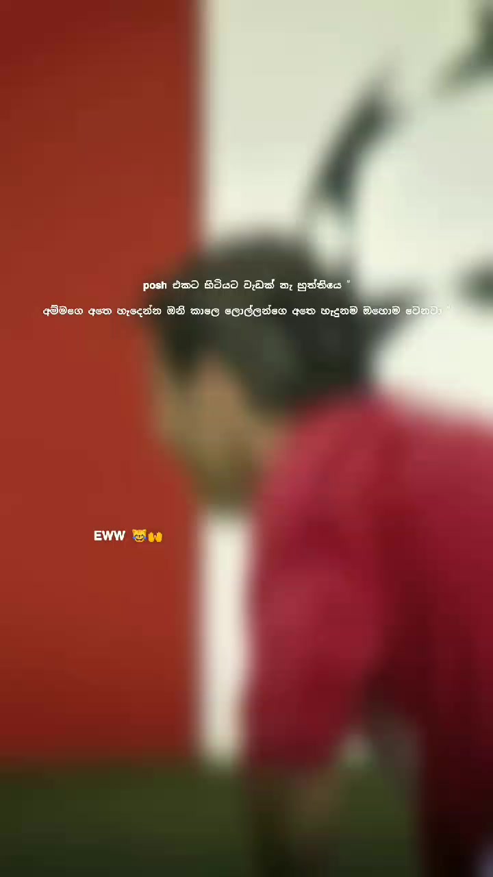 @โฏ๐ฐ ๐ฟ ๐พ ๐พ ๐ ๐ ๐ฐเทดใ
