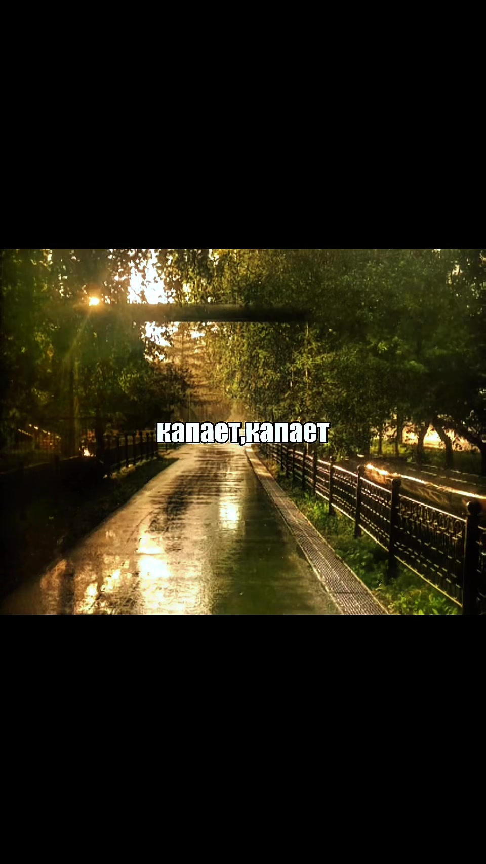 @тимурпеченькаXVII #antisocial