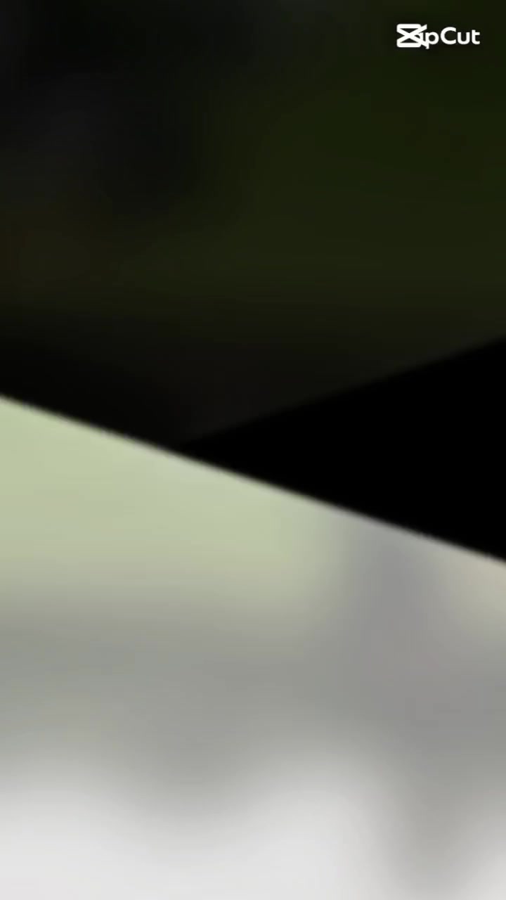 @๐ฏH O N E Y ๐ฏBOY ๐๐