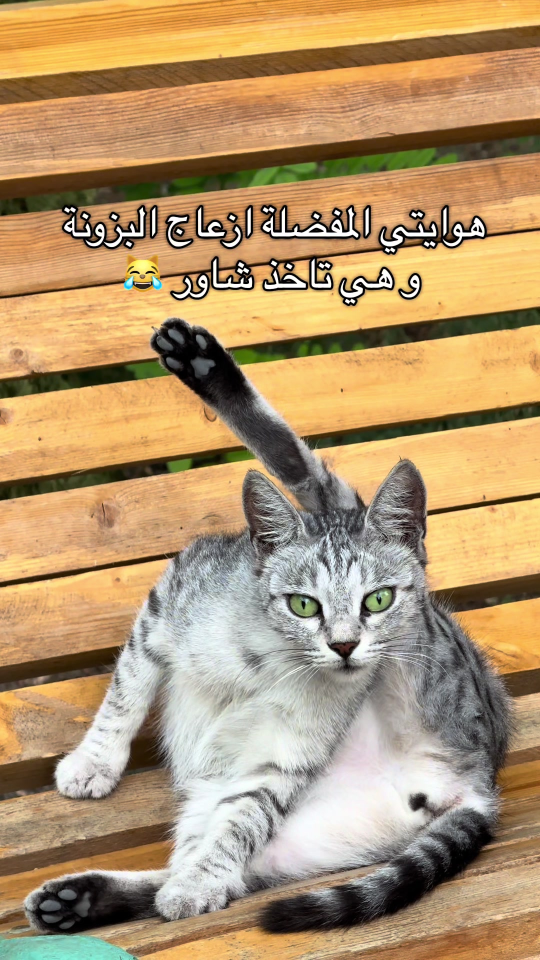 @Asmaa
