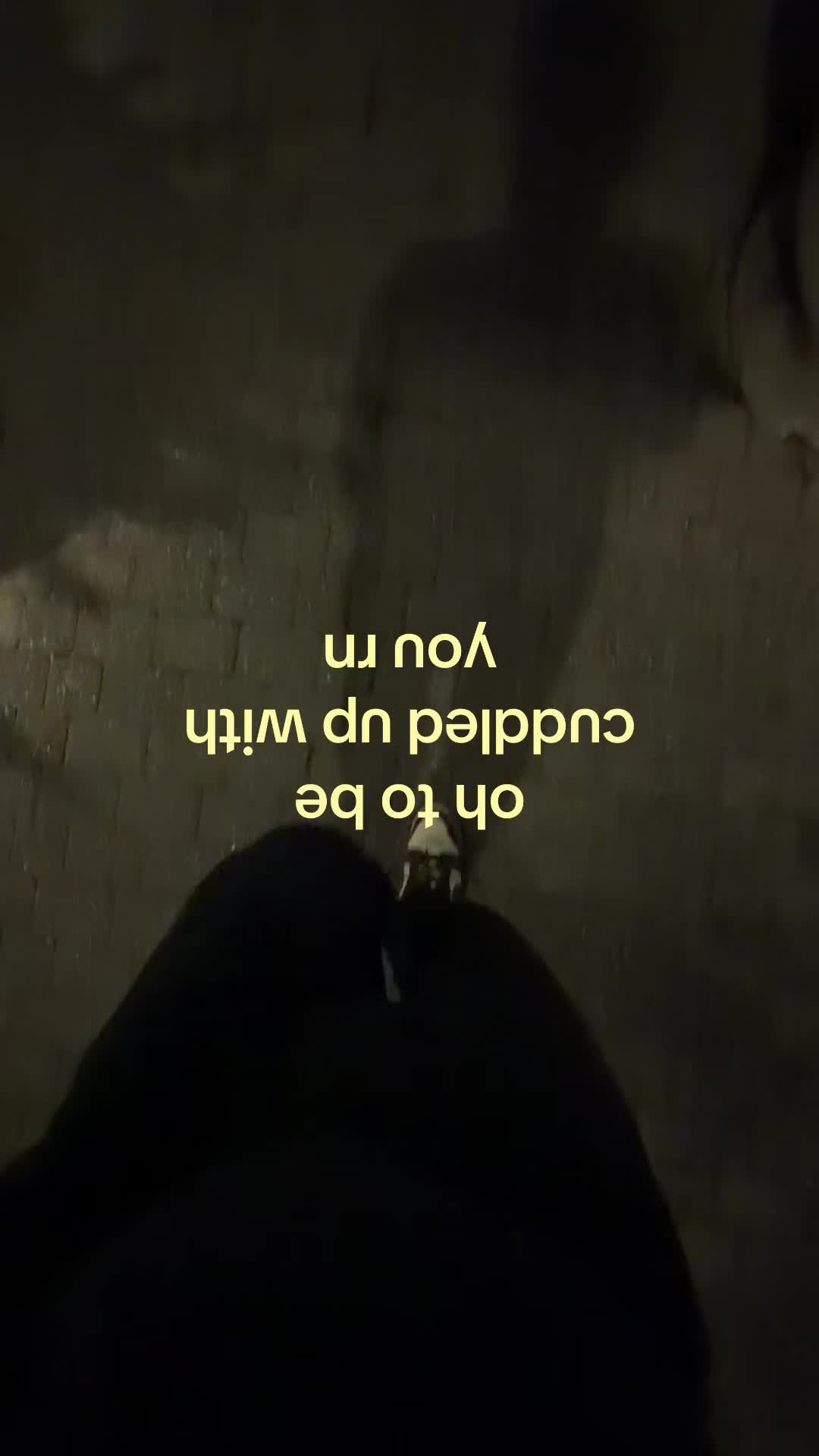 @Safi
