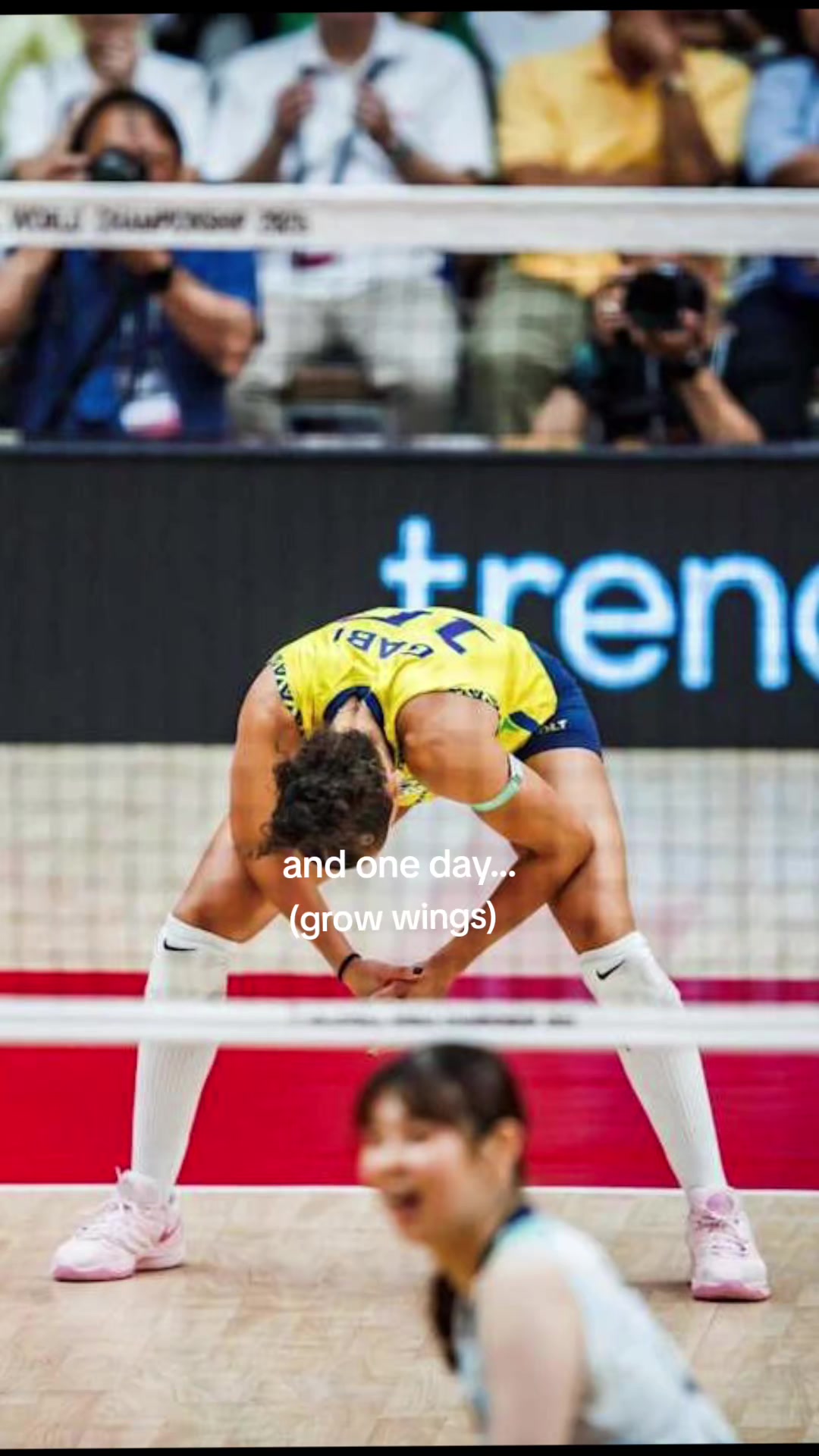 @sfv