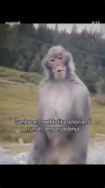 @dedi. m357