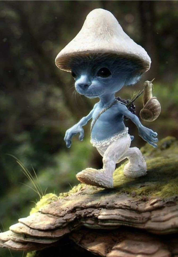 @￴￴