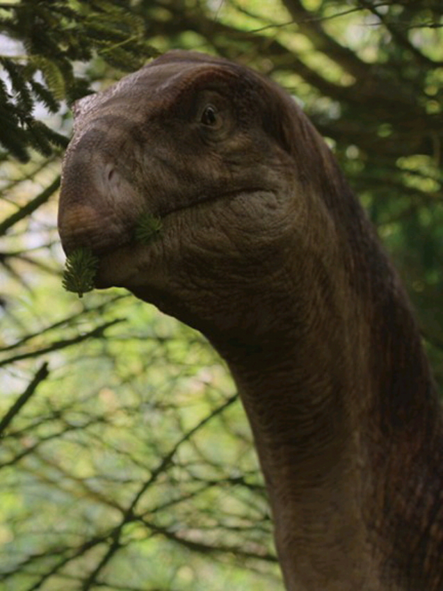 @Indoraptor