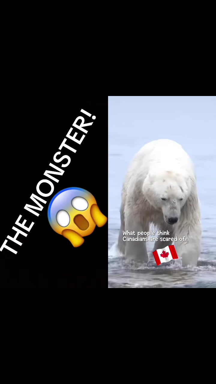 @userTheHagShack🇨🇦