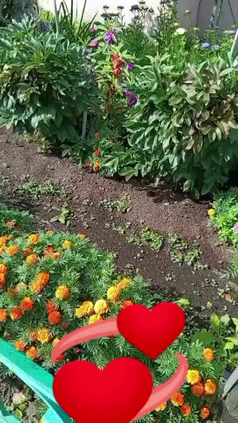 @🌹ZEYÑEB 🌹