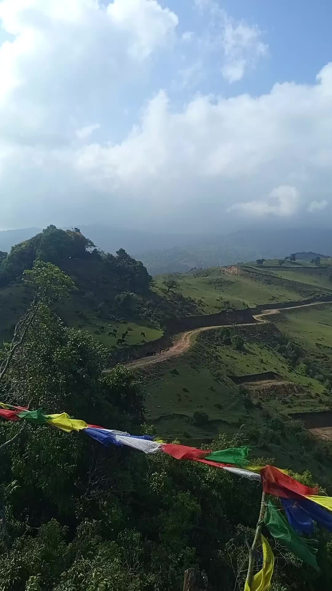@फिरन्ते 🔎💐🤗