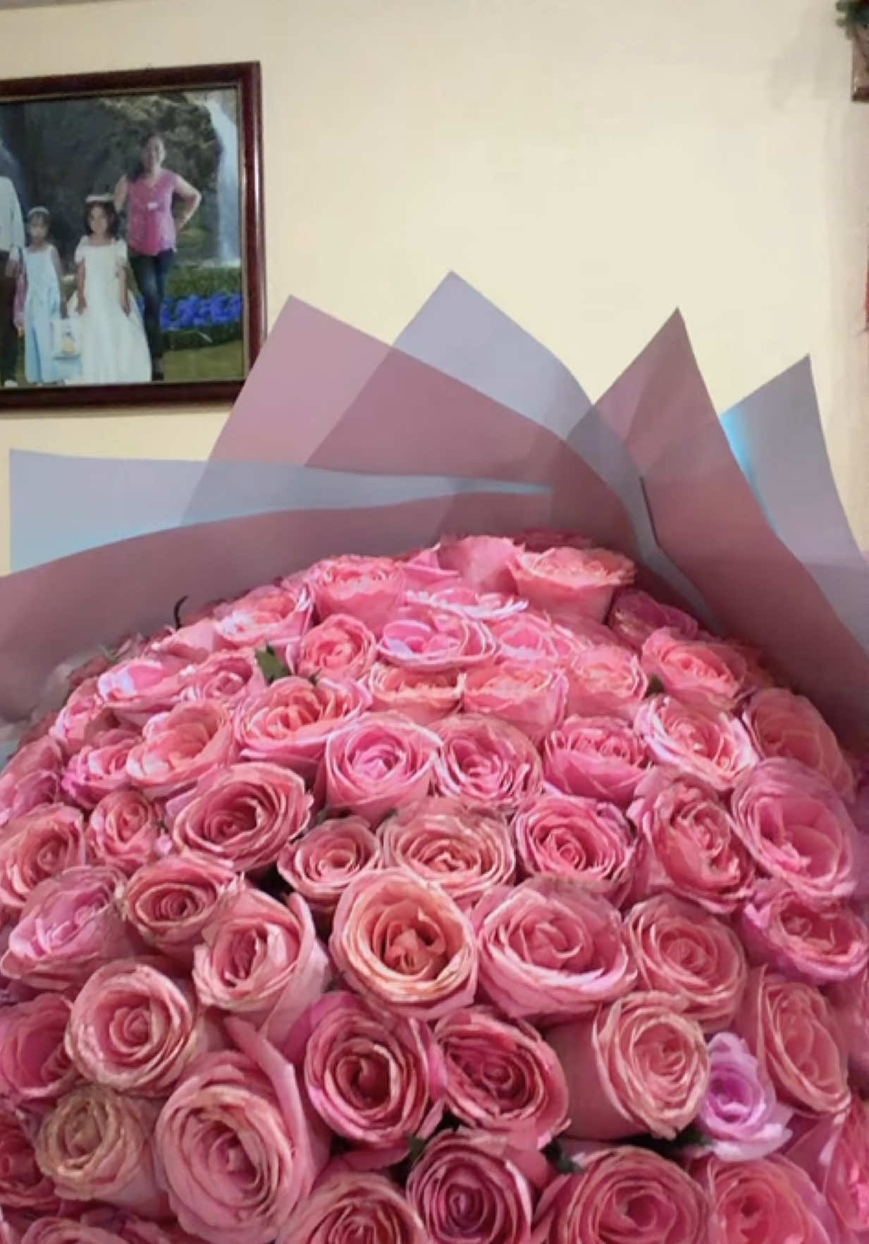 @Marifer Guzm&aacute;n