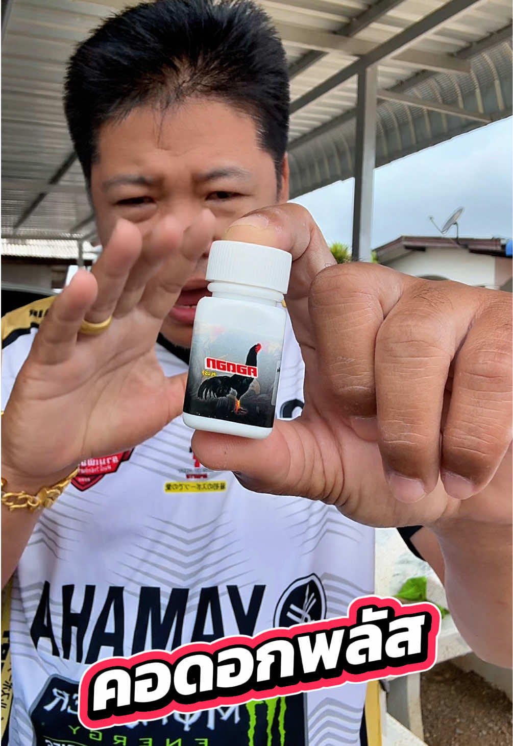 @วุดดี้ รีวิว56
