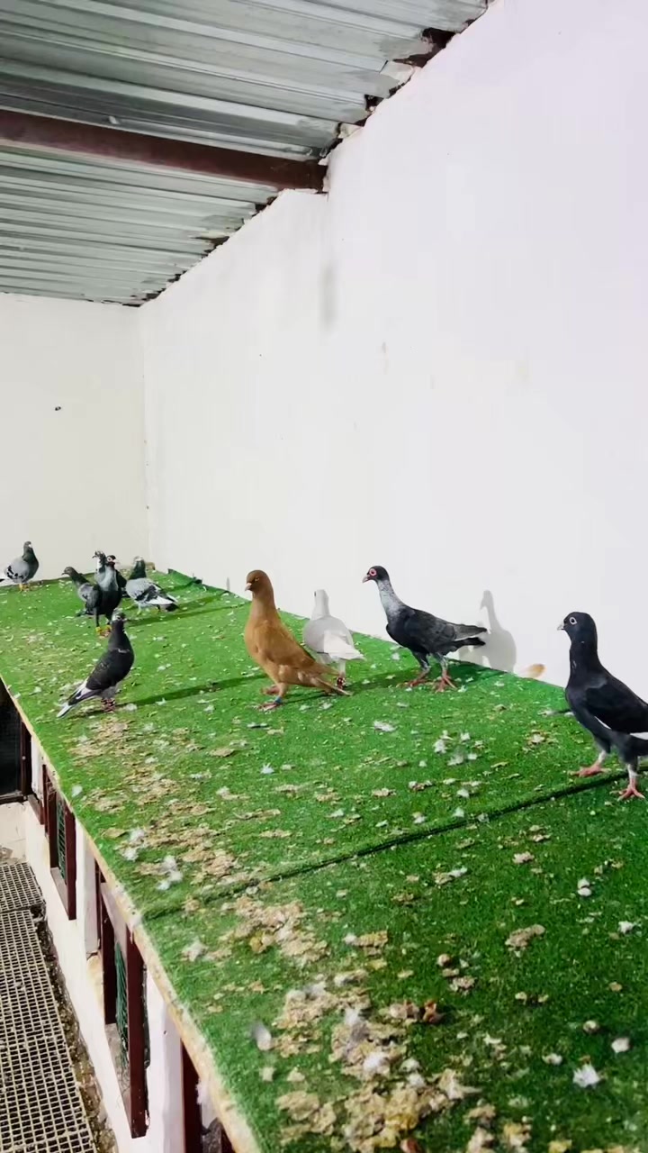 @İ⃫B⃫R⃫A⃫H⃫İ⃫M⃫ ⃫D⃫E⃫N⃫G⃫İ⃫Z⃫